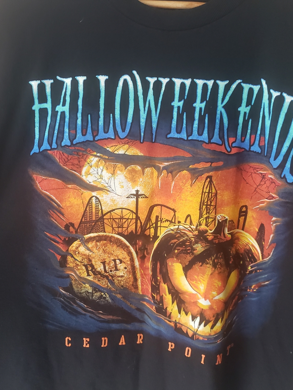 Gildan Black Halloween Pumpkin Cedar Point Graphic Tee